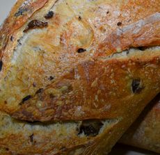 organic olive breads